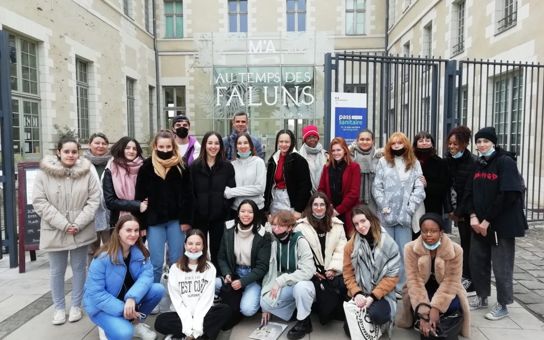 1MMV : sortie au Musée des Beaux-Arts d’Angers